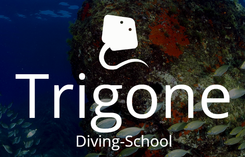 Trigone Diving School
